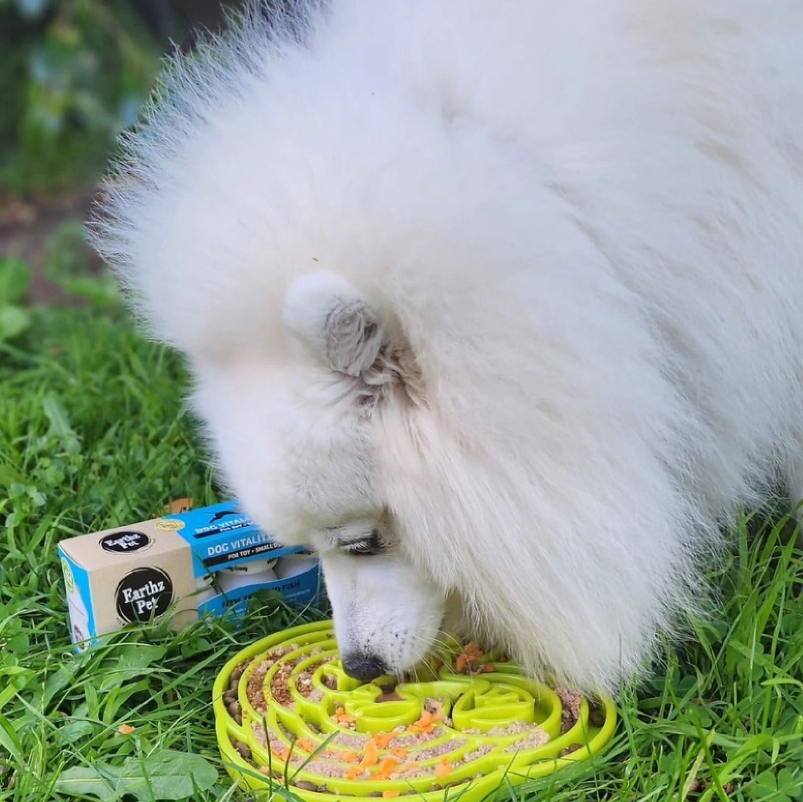 Earthz Pet - Gravy for Dogs