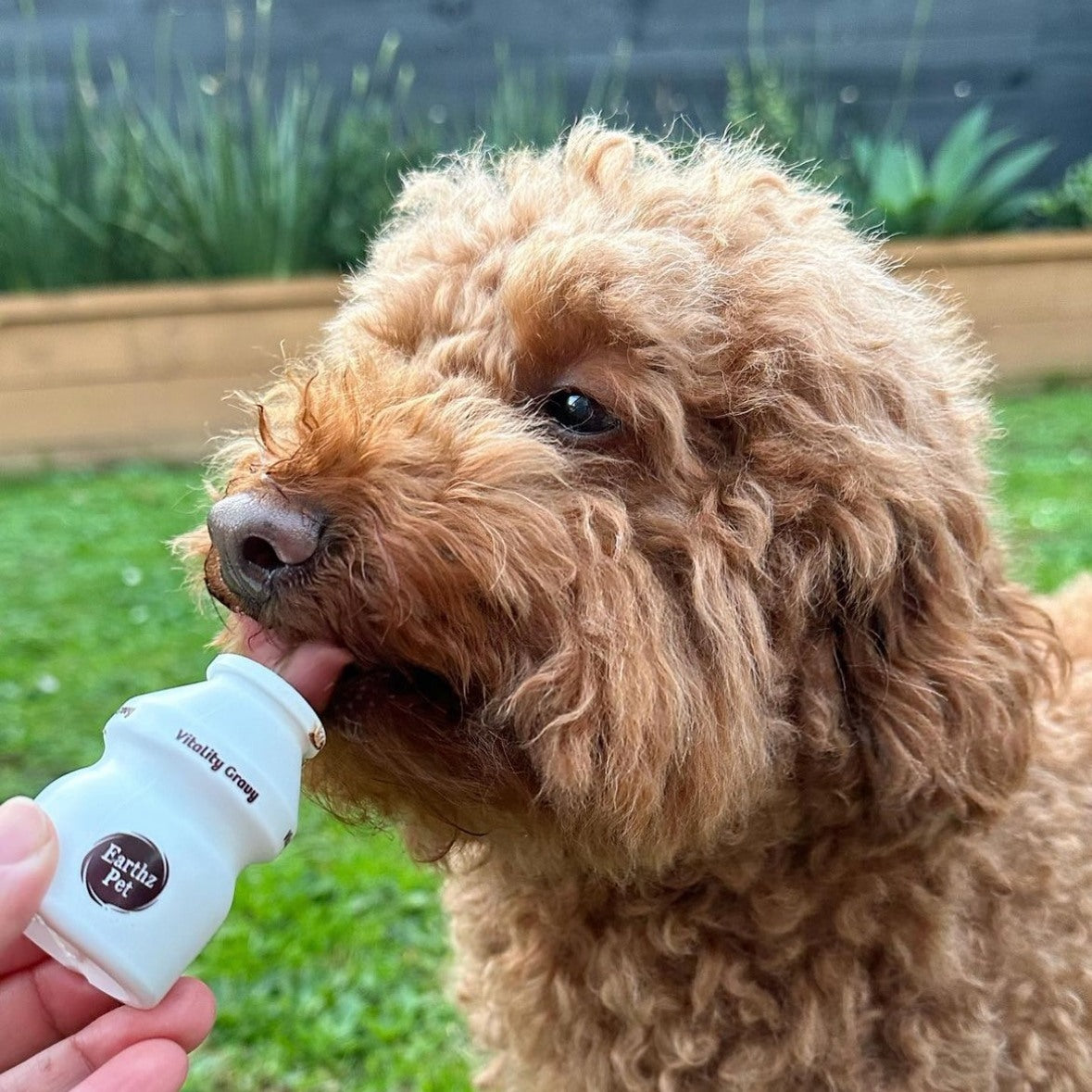 Earthz Pet - Gravy for Dogs