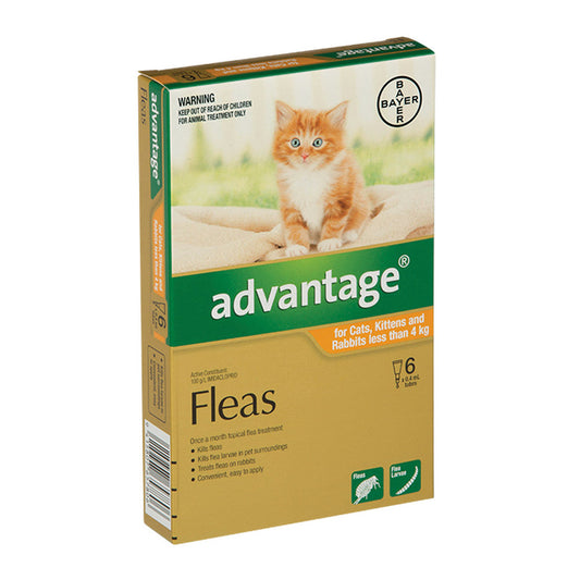 Advantage - Fleas 4pk