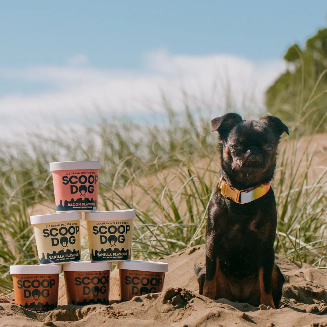 Scoop Dog - Ice Cream for Dogs