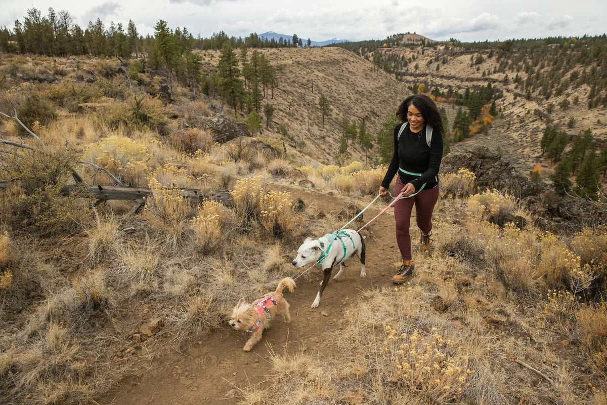 Ruffwear Flagline Harness