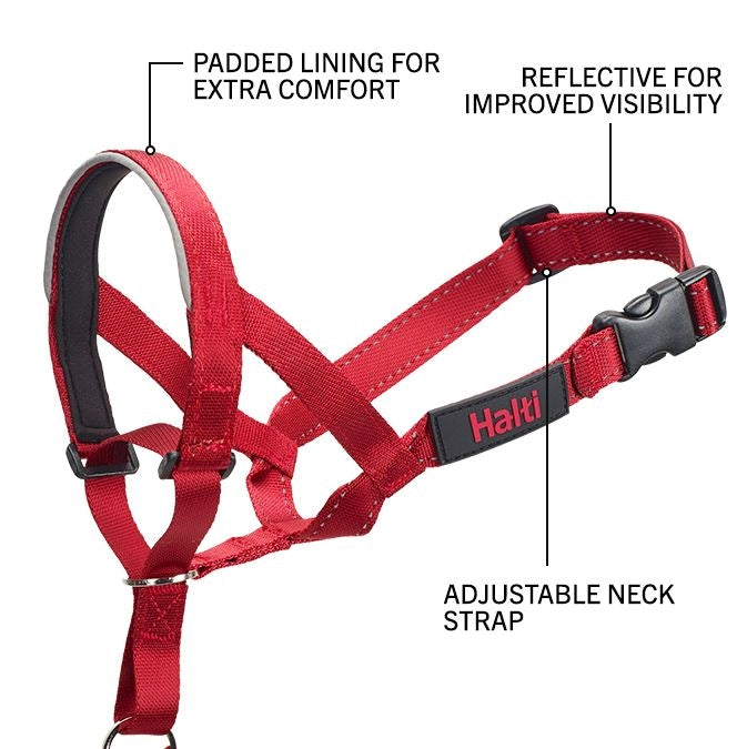 Halti Headcollar