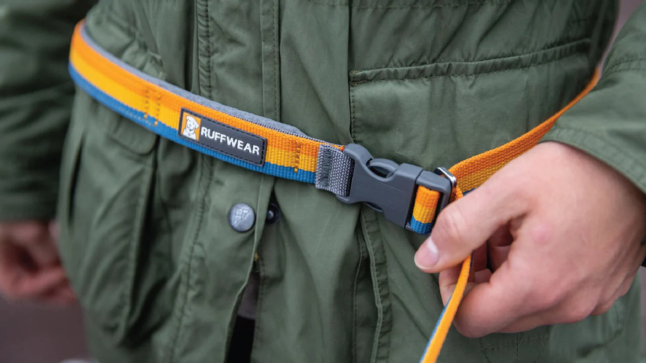 Ruffwear Roamer Bungee Dog Leash