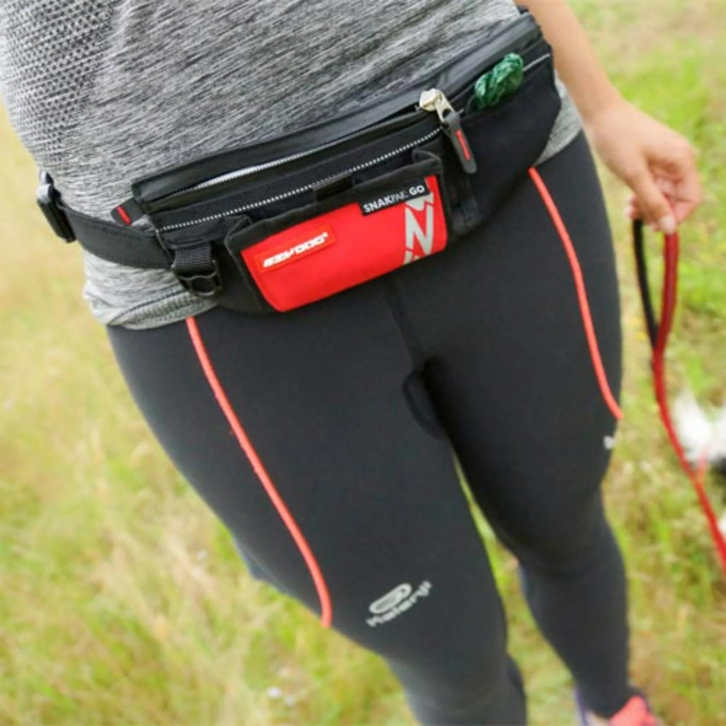 EzyDog SnakPak Go Treat Belt