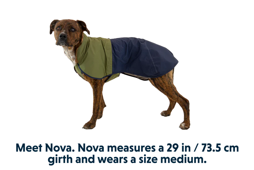 Ruffwear Sun Shower Dog Raincoat