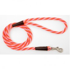 Mendota Snap Leads Small