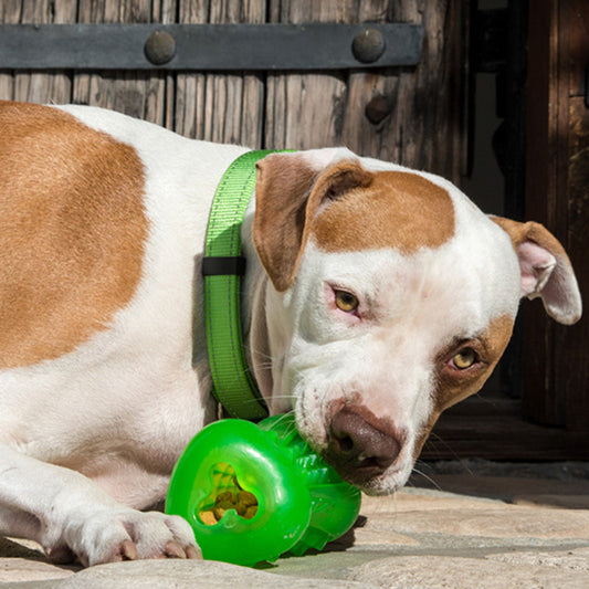 Rogz Yumz Chew & Treat Toy
