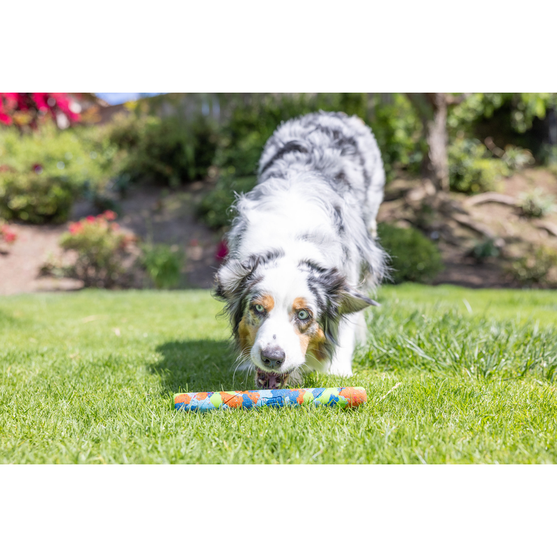 Chuckit! Eco Fetch Stick