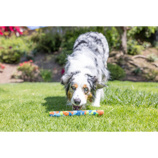 Chuckit! Eco Fetch Stick