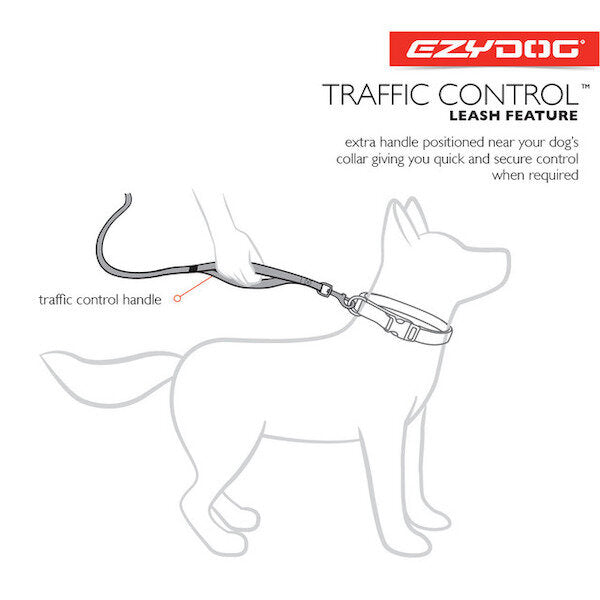 EzyDog Leash Track'n Train 5m