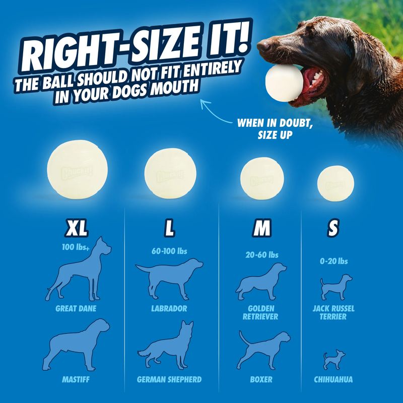 Chuckit! Max Glow Ball Small