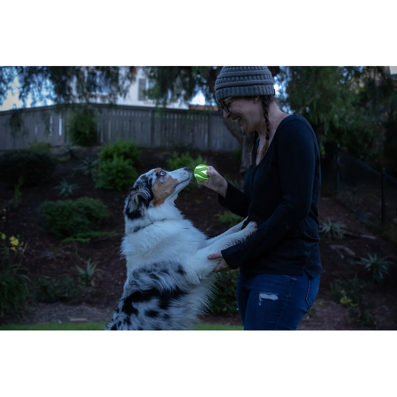 Chuckit! Max Glow Ultra Squeaker Ball Medium