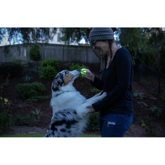 Chuckit! Max Glow Ultra Squeaker Ball Medium