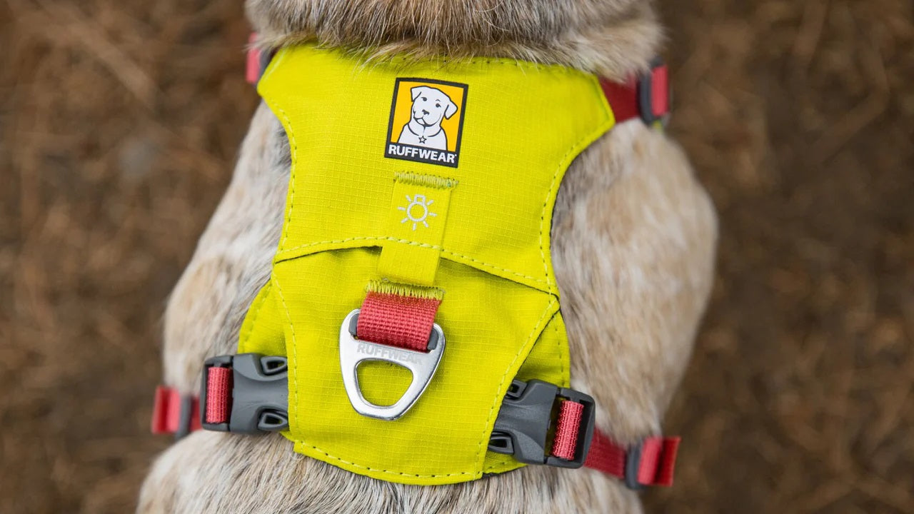 Ruffwear Hi & Light Harness