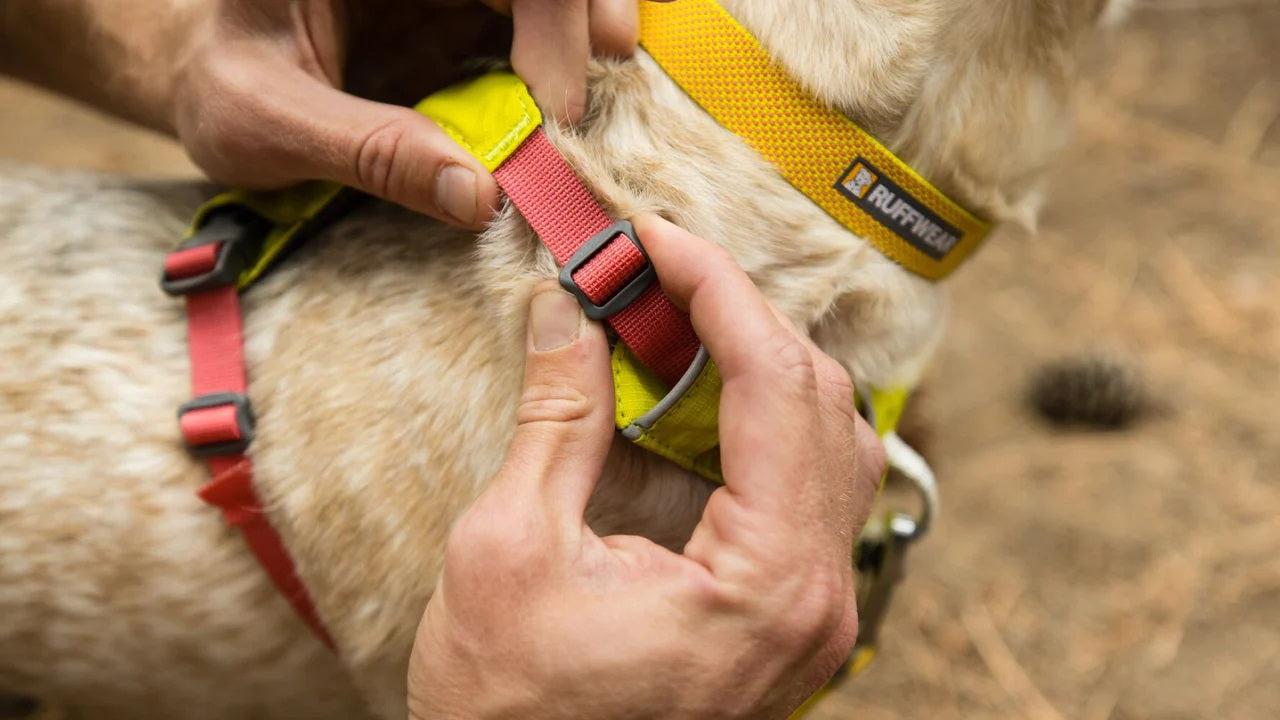 Ruffwear Hi & Light Harness