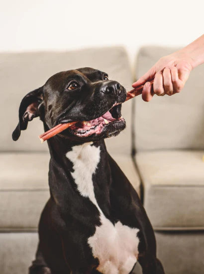 Beef Pizzle Sticks