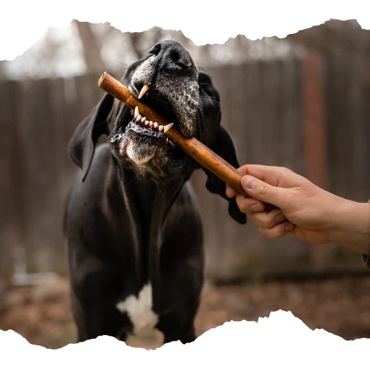 Beef Pizzle Sticks