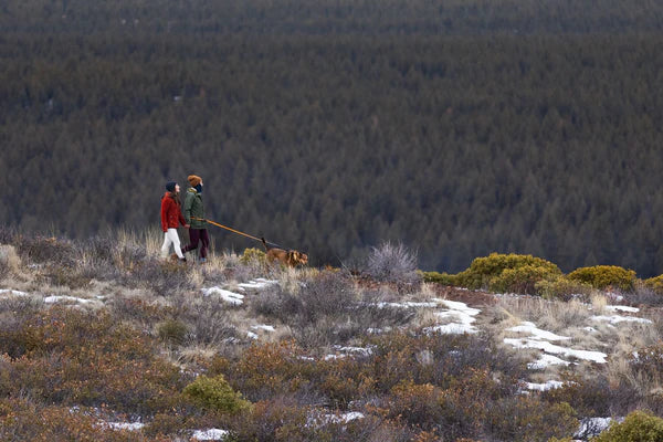 Ruffwear Roamer Bungee Dog Leash