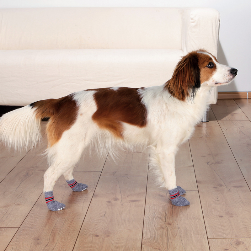 Trixie Dog Socks