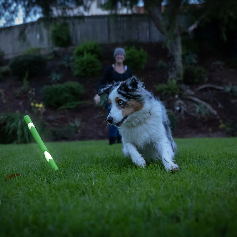 Chuckit! Max Glow Ultra Fetch Stick