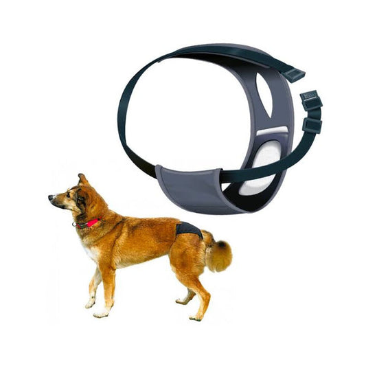 Trixie Protective Pants