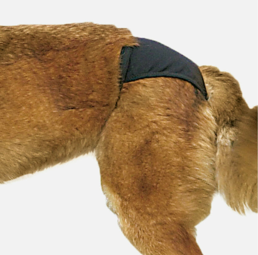 Trixie Protective Pants