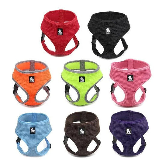 True Love - Harness for Small Dogs