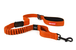 EzyDog Leash Zero Shock