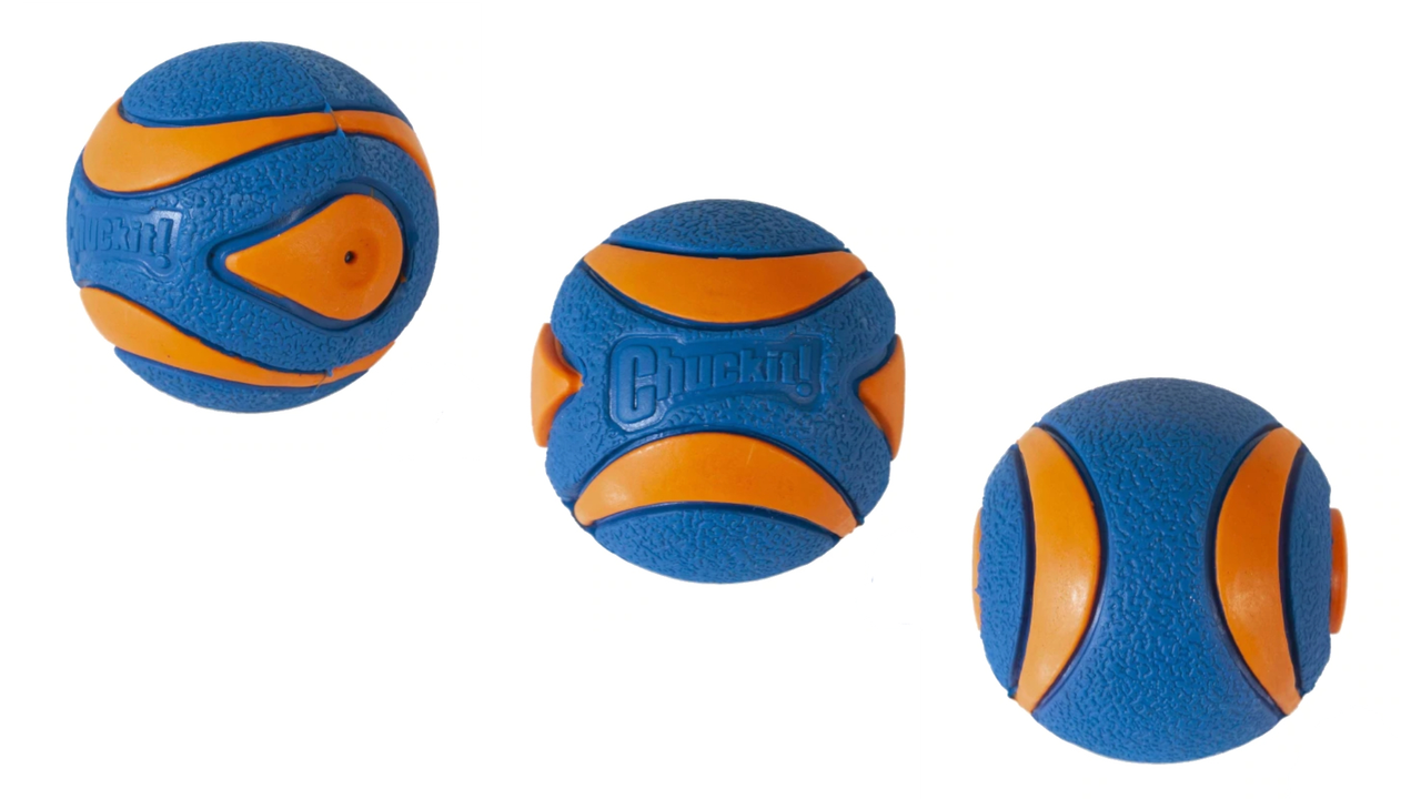 Chuckit! Ultra Squeaker Ball
