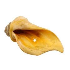 Beef Ears (Cow Ears)