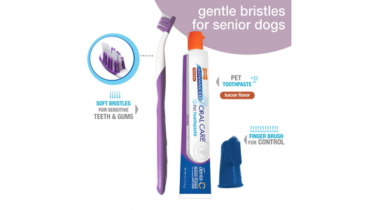 Advanced Oral Care Senior Dental Kit