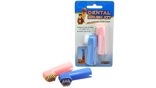 Dental Brush Kit 2pk