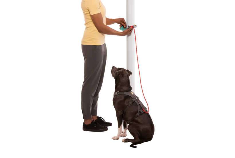 Ruffwear Hitch Hiker Leash