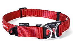 EzyDog Double Up Collar