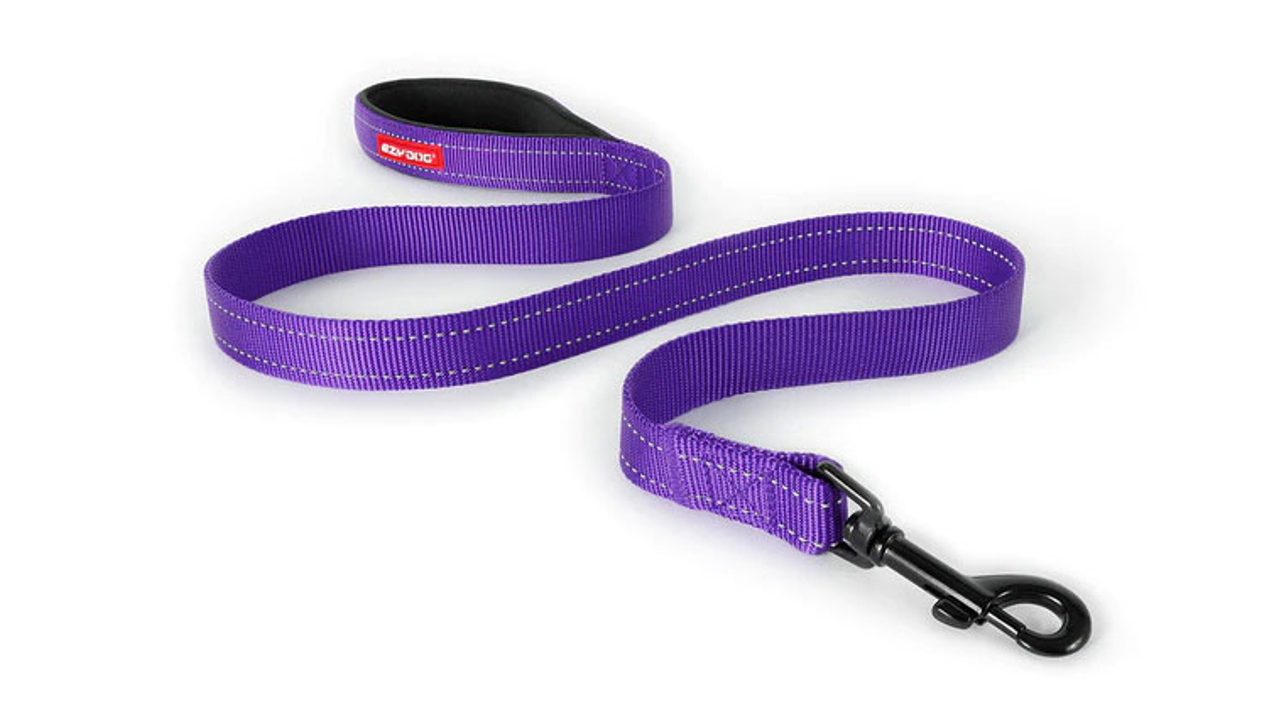 EzyDog Essential Leash 120cm