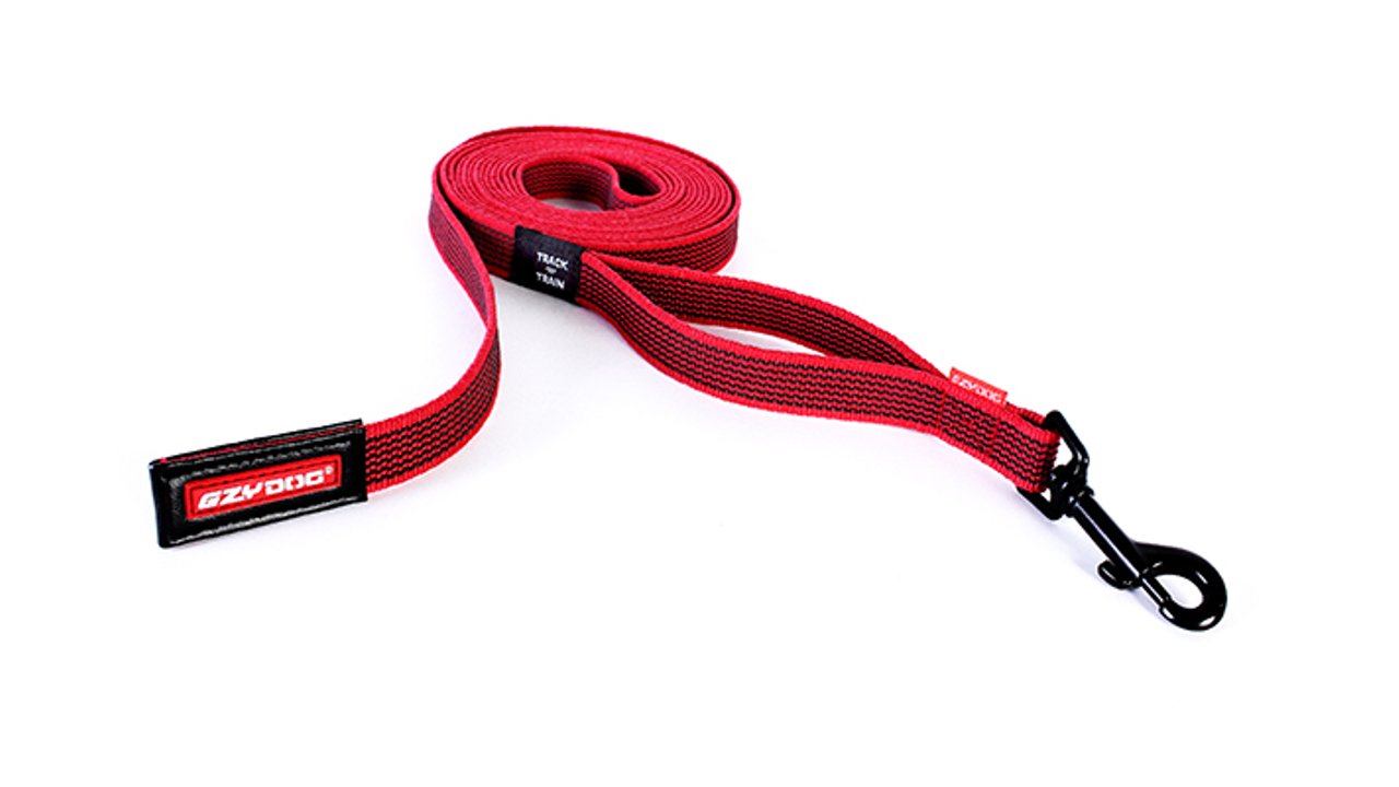 EzyDog Leash Track'n Train 5m