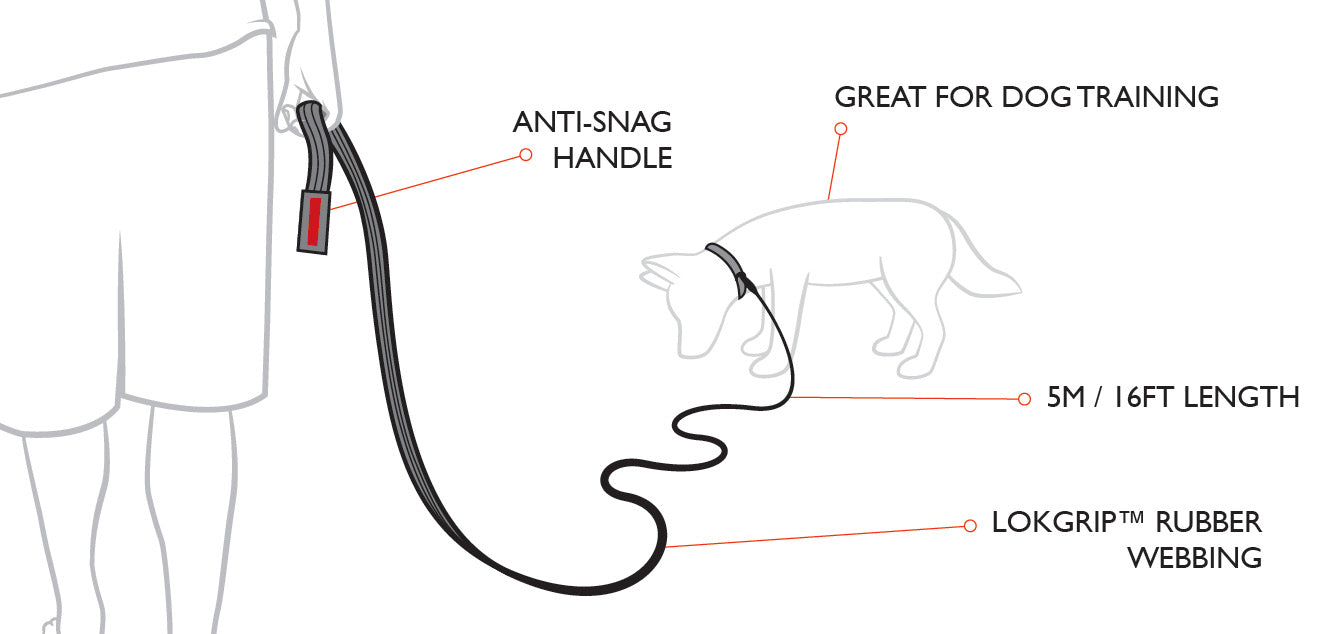 EzyDog Leash Track'n Train 5m