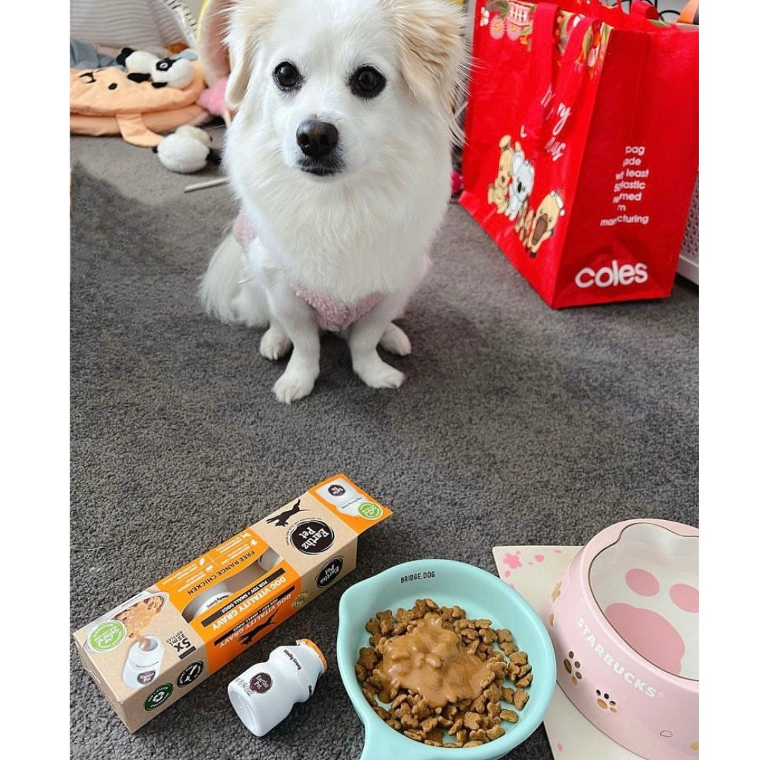 Earthz Pet - Gravy for Dogs