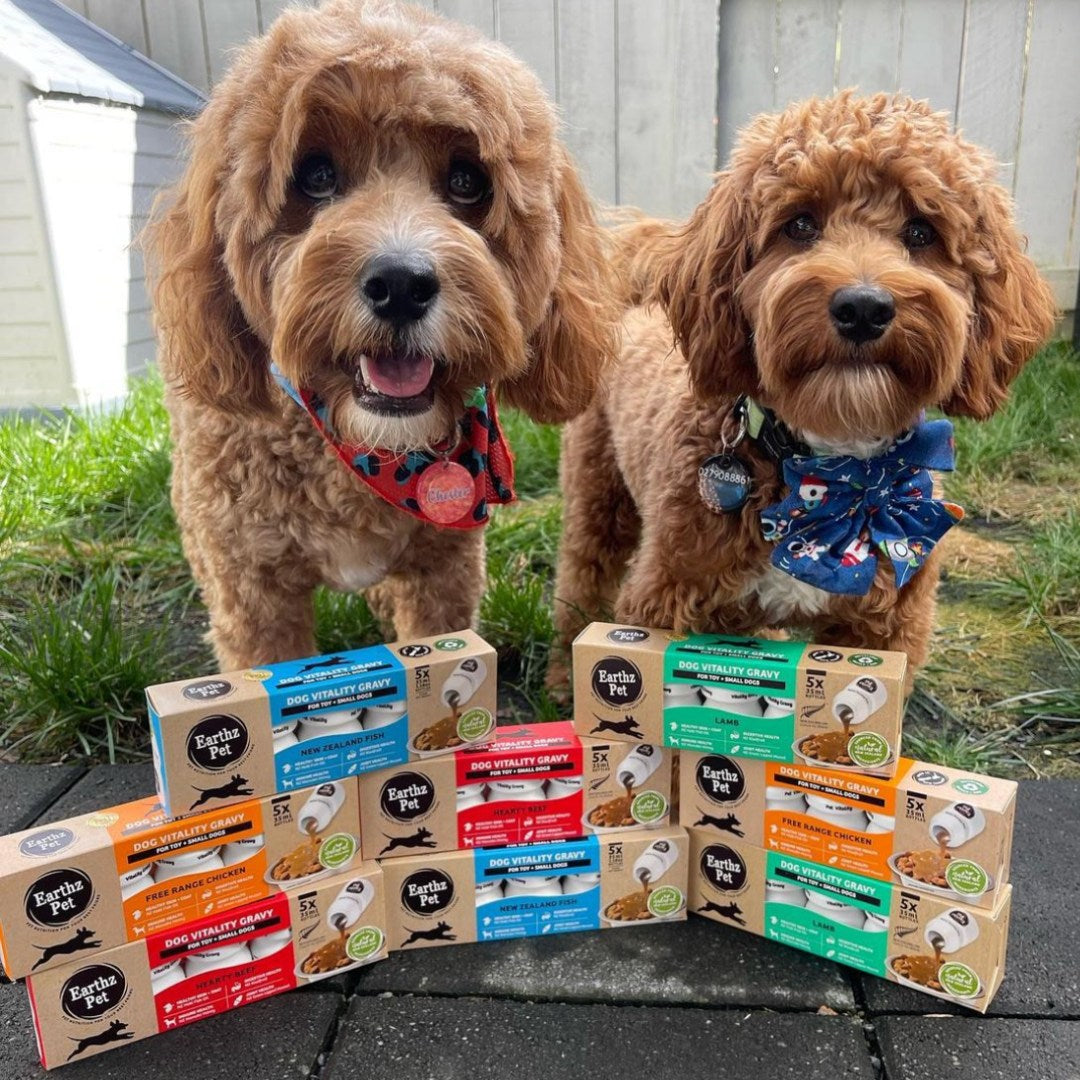 Earthz Pet - Gravy for Dogs