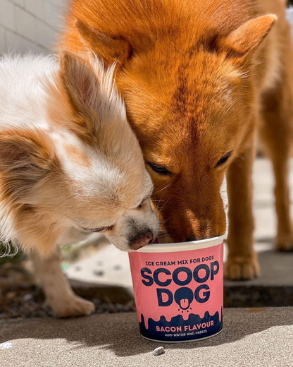 Scoop Dog - Ice Cream for Dogs