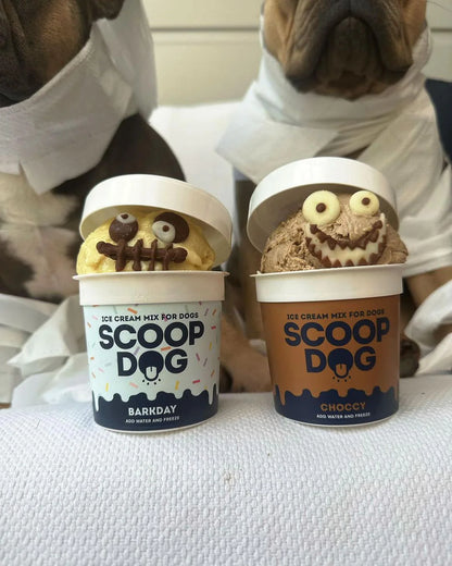 Scoop Dog - Ice Cream for Dogs