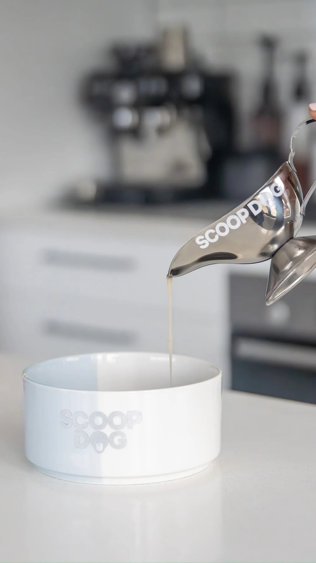 Scoop Dog Shaker - Steak, Egg & Chips