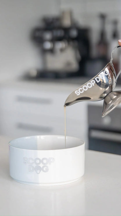 Scoop Dog Shaker - Steak, Egg & Chips