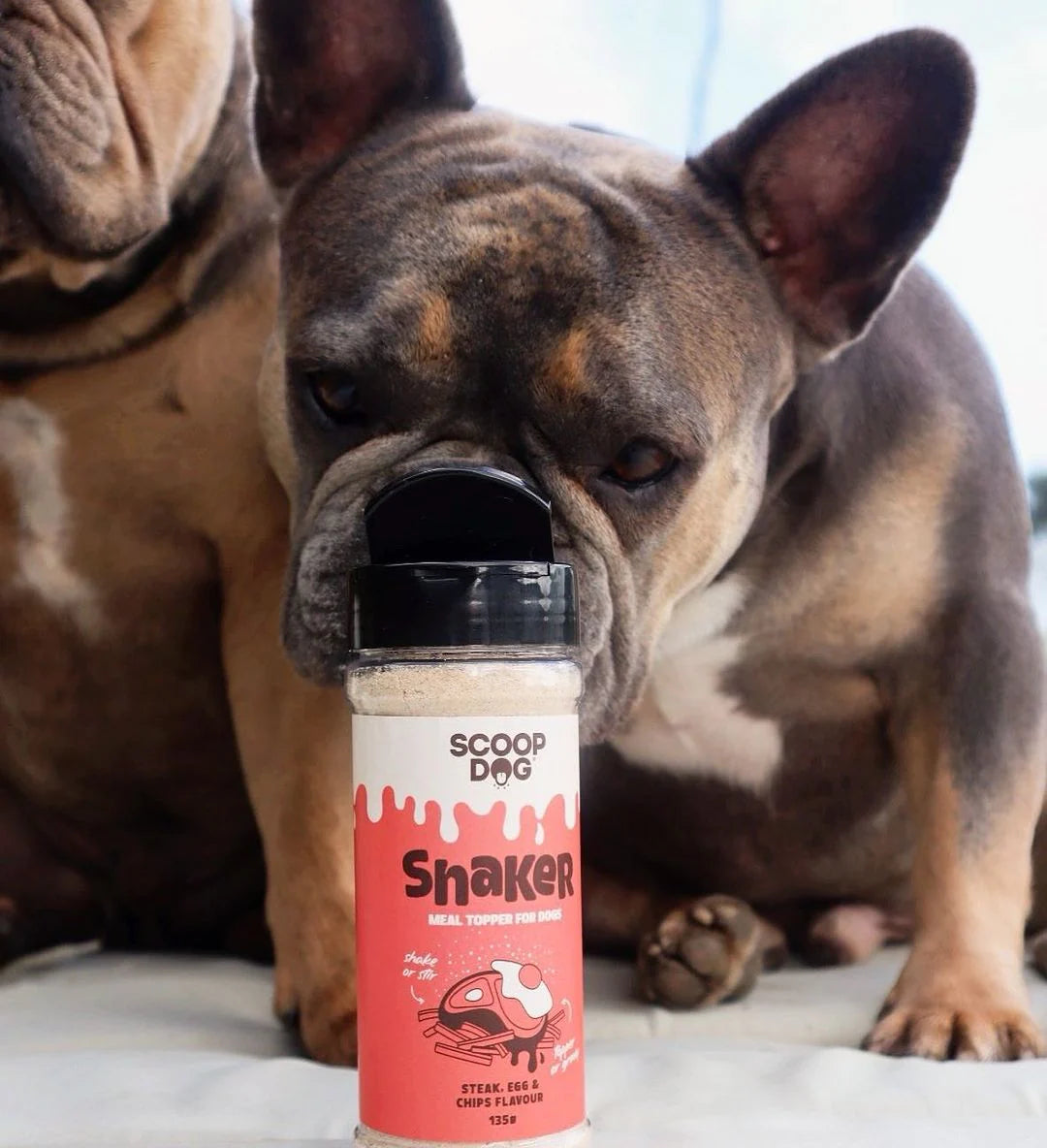 Scoop Dog Shaker - Steak, Egg & Chips