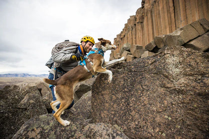 Ruffwear Flagline Harness