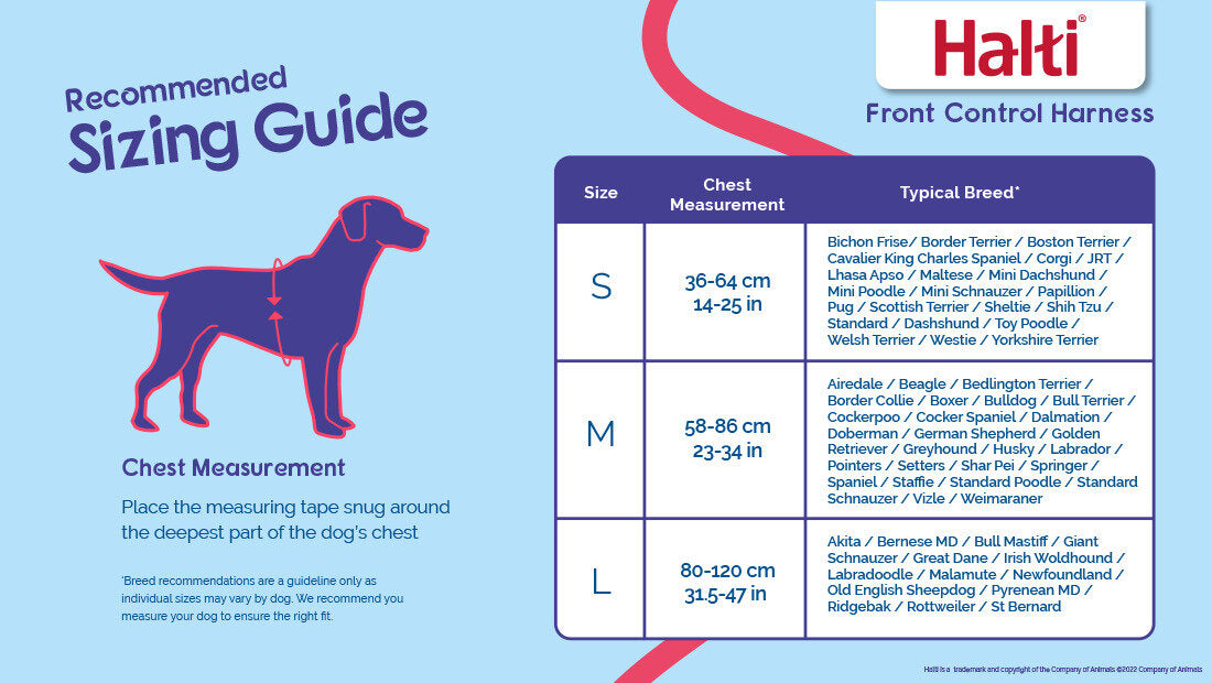 Halti Front Control Harness