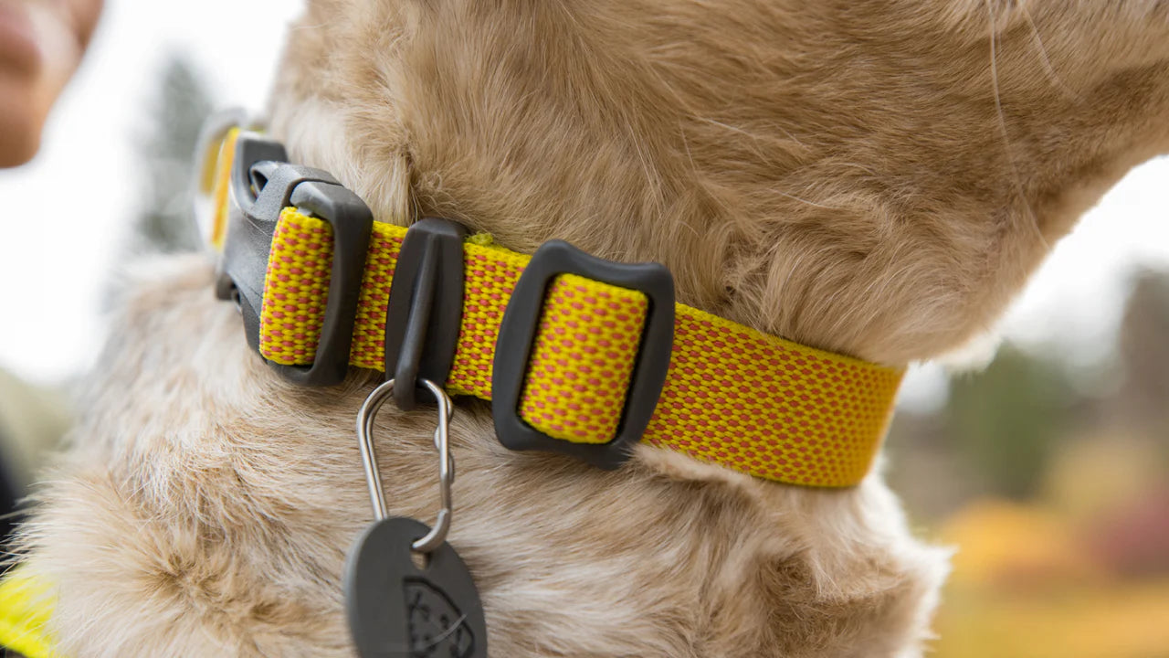 Ruffwear Hi & Light Collar