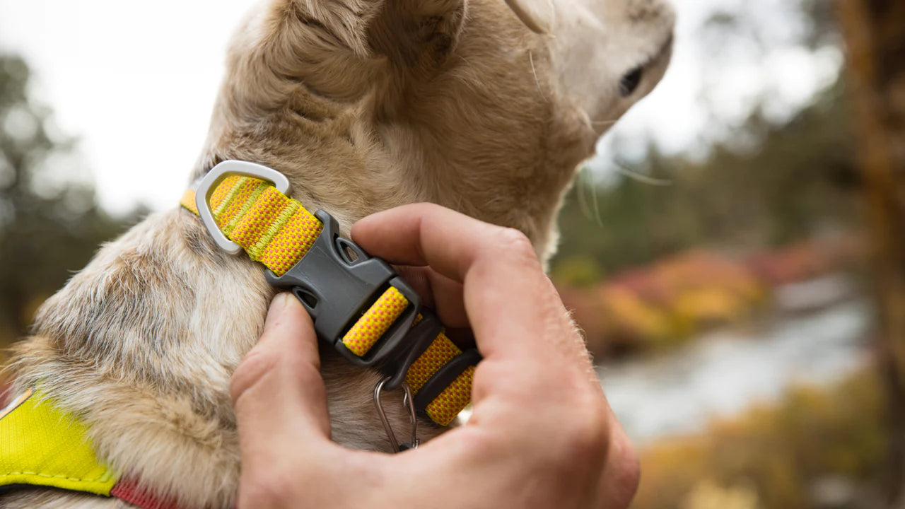 Ruffwear Hi & Light Collar