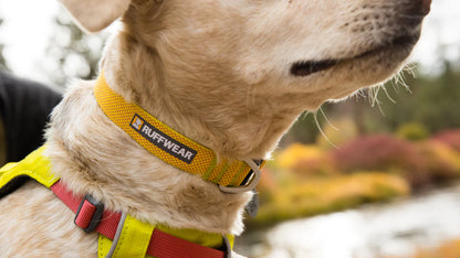 Ruffwear Hi & Light Collar