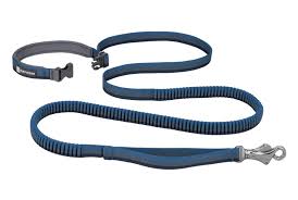 Ruffwear Roamer Bungee Dog Leash